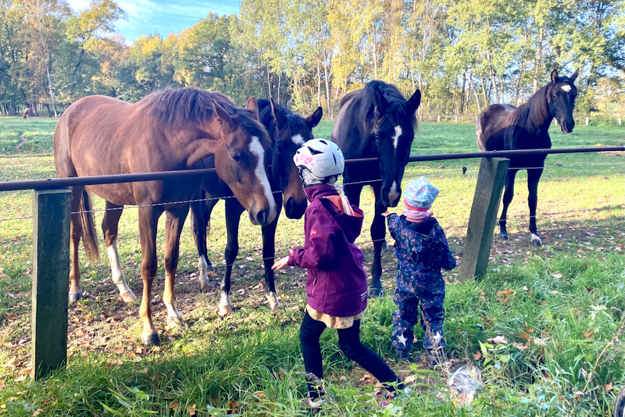 5 Tipps für erholsame Herbstferien an der Müritz